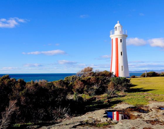 德文波特 自由行套票