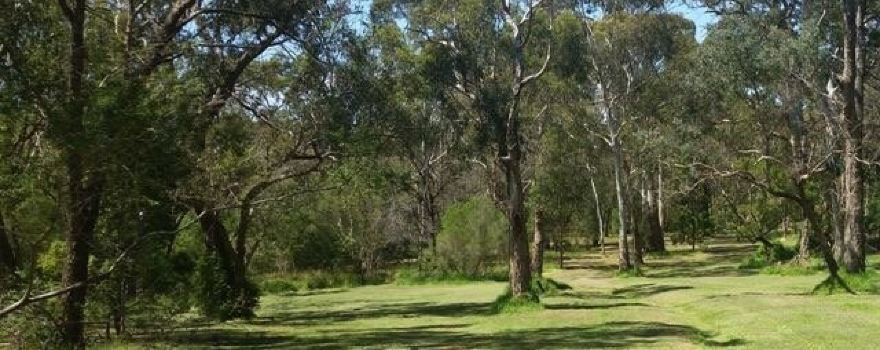100 Acres Reserve