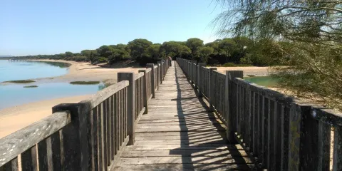 Playa Rio de San Pedro