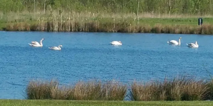 Landgoedvisserij Someren