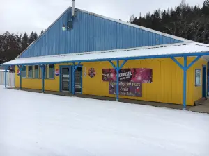 Carousel Roller Rink