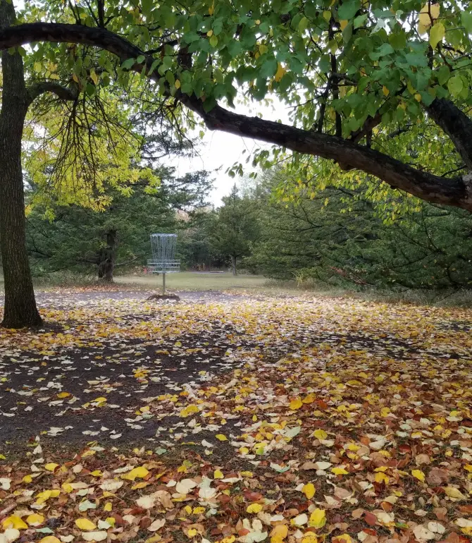 Ravinia Township