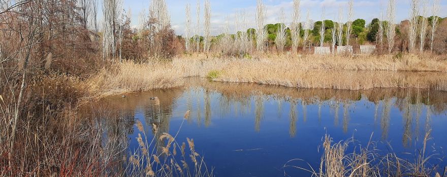 Parc De La Llacuna