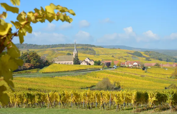 布利安斯克維萊