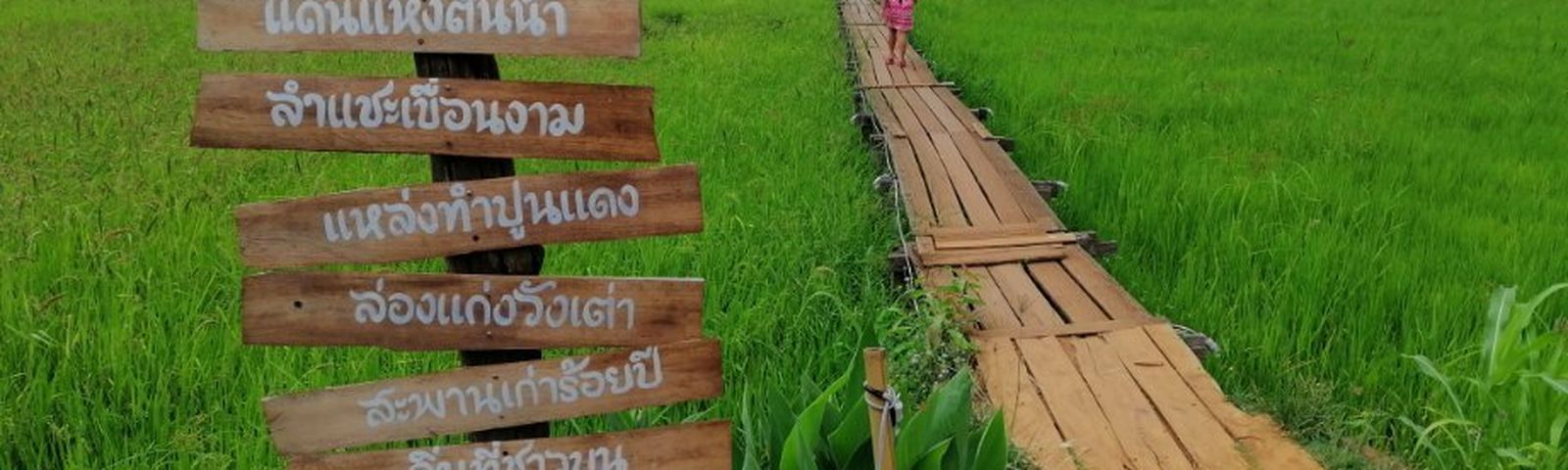 travel