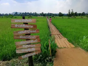 100 Years Old Wooden Bridge
