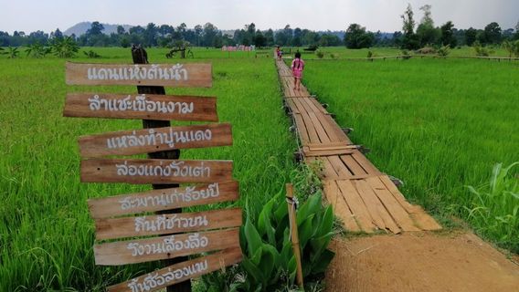 100 Years Old Wooden Bridge