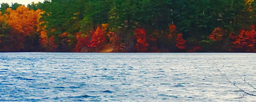 Morses Pond Beach