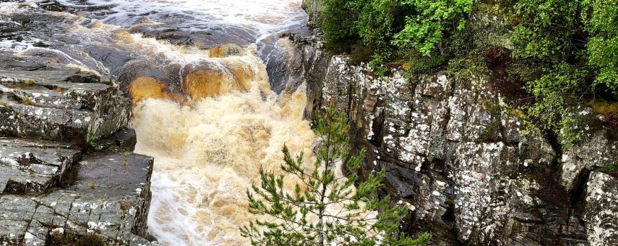 Black Water Falls