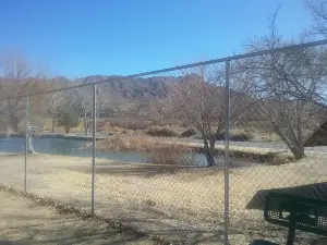 Carole Wheeler Dog Park