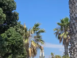 Molo delle tartarughe