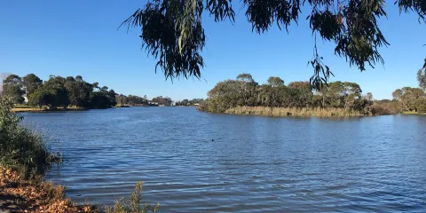 Lake Guthridge