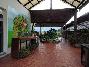 Viverde
