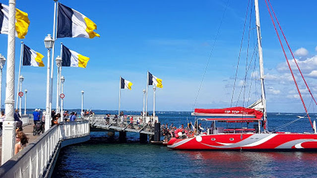 Tip Top Vent d'Arguin