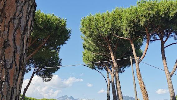 Camping Taimì