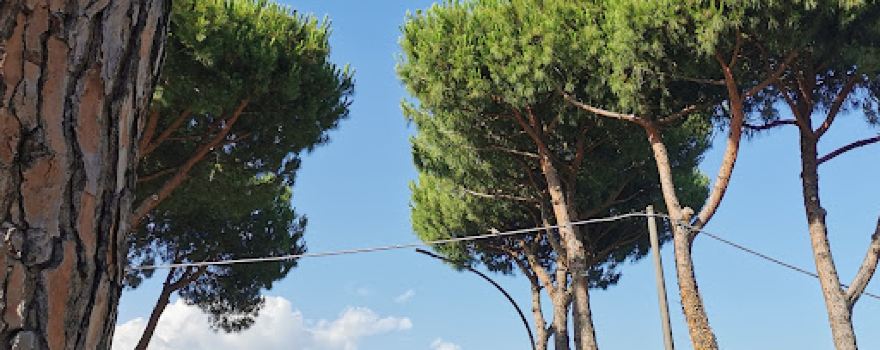 Camping Taimì