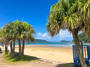 Ishinami coast in Nichinan Coast Quasi-National Park.(Loggerhead turtle landing spawning zone.)