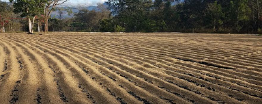 Parque, el Pinito