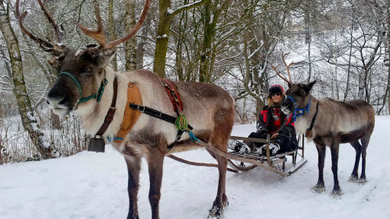 RENRAJD vualka / Lappland exhibit