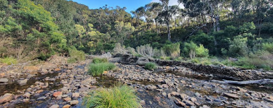 Mackenzies Flat Picnic Area