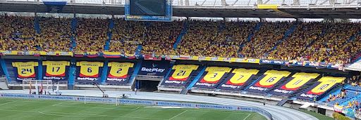 Estadio metropolitano