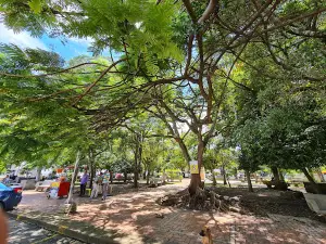 Bugalagrande Main Park