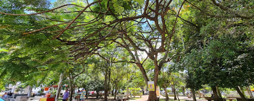 Bugalagrande Main Park