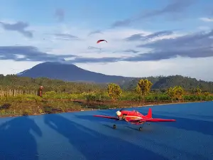 KARPET BIRU BALITPALMA