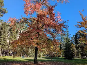 Giardini Pubblici