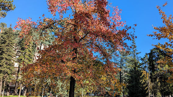 Giardini Pubblici