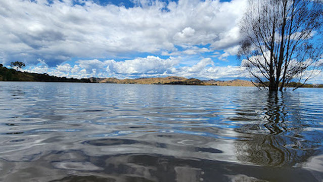 Peppin Point Holiday Park