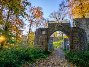 Burg Plesse