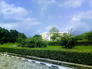Timothy Olagbemiro Library