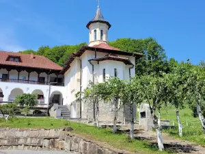 Valea Mare Monastery