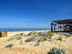Praia de Melides