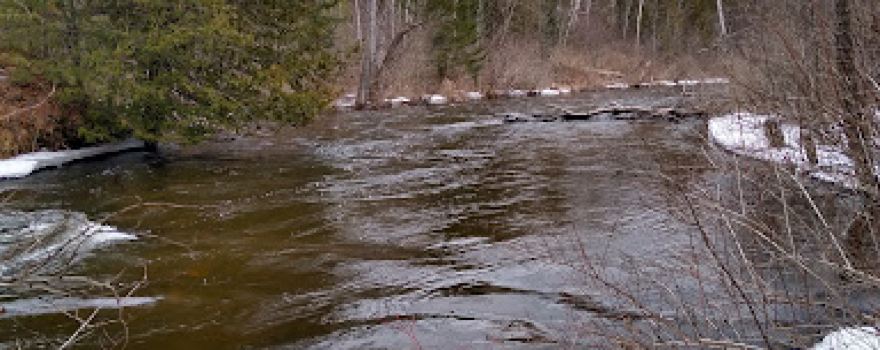 Helmer's Dam/Robert D. VanCampen Nature Preserve