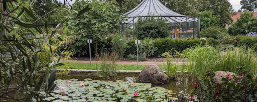 Bibelgarten Werlte
