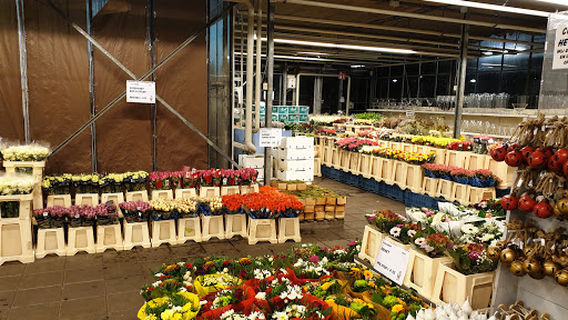 The Plantenhal Terneuzen