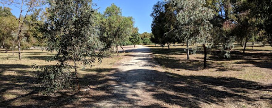 George Street Reserve