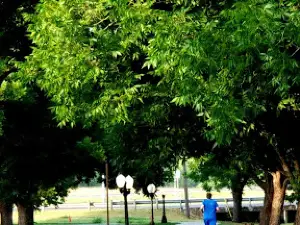 Pecan Park