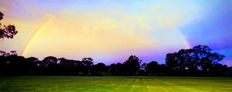 Curtin-Victoria Park Cricket Club