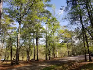 Blanton Creek Campground