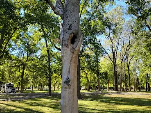 Pine Bluff Regional Park