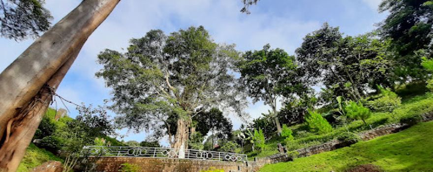 Đức Mẹ Thác Phước