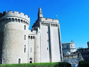 Château-Guillaume