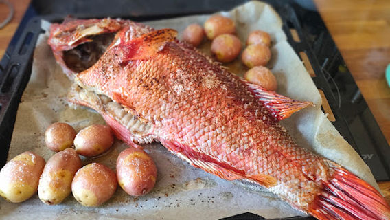 Tortuga Fishing Lanzarote