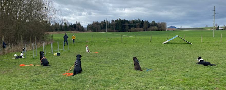Hundeplatz Rubigen
