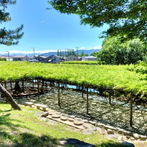 Tennogawa Park