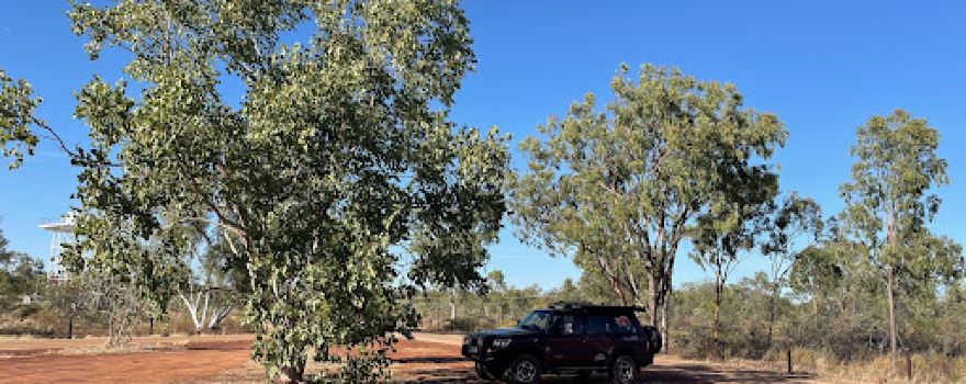 Stuart Tree Historic Site