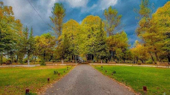 Geraldinë Park